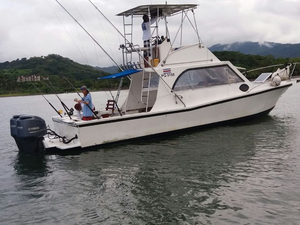 Tortuga Island Tour
